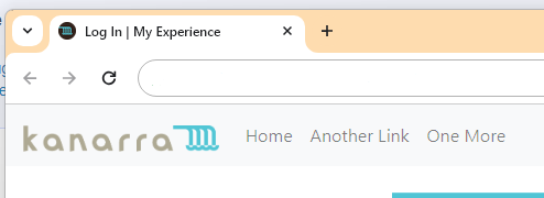 How To Add a Favicon to Your Experience Pages