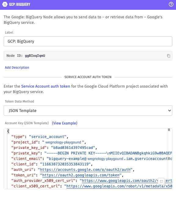 BigQuery Access JSON pasted in WEGnology workflow